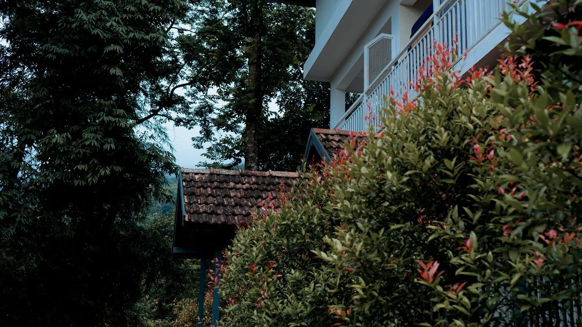 Vythiri Holiday Resort, Wayanad